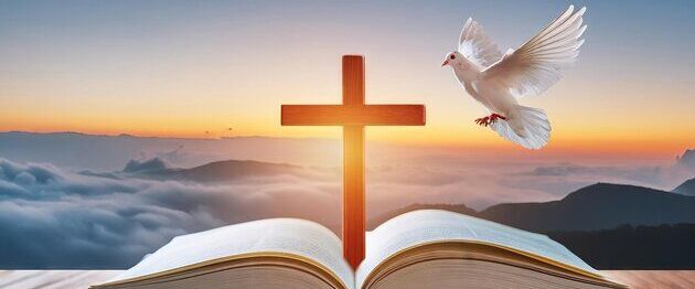 Bible King James